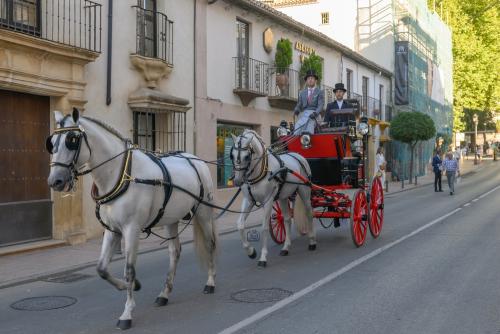 2022-09-04@094949000ENGANCHES-RONDA-VIRGEN-DE-LA-PAZ