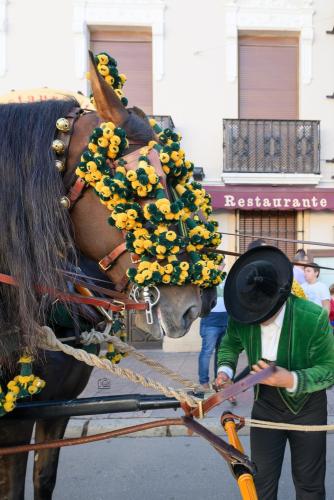 2022-09-04@095955000ENGANCHES-RONDA-VIRGEN-DE-LA-PAZ-