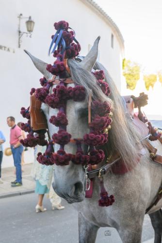 2022-09-04@100223000ENGANCHES-RONDA-VIRGEN-DE-LA-PAZ-