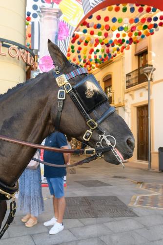 2022-09-04@100614000ENGANCHES-RONDA-VIRGEN-DE-LA-PAZ-
