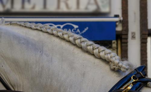 2022-09-04@101140000ENGANCHES-RONDA-VIRGEN-DE-LA-PAZ-