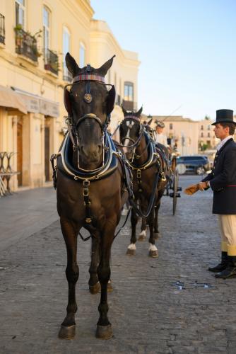 2022-09-04@101259000ENGANCHES-RONDA-VIRGEN-DE-LA-PAZ-