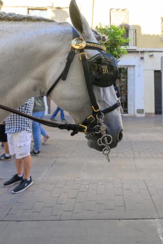 2022-09-04@101426000ENGANCHES-RONDA-VIRGEN-DE-LA-PAZ-