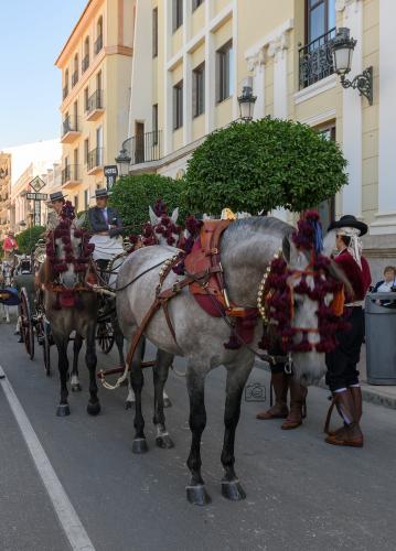 2022-09-04@102328000ENGANCHES-RONDA-VIRGEN-DE-LA-PAZ-