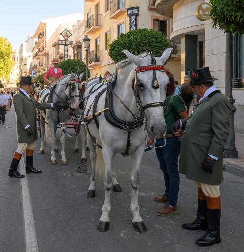 2022-09-04@102436000ENGANCHES-RONDA-VIRGEN-DE-LA-PAZ-