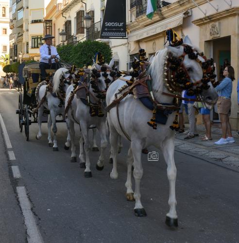2022-09-04@104140000ENGANCHES-RONDA-VIRGEN-DE-LA-PAZ-