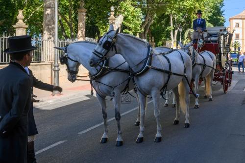 2022-09-04@105427000ENGANCHES-RONDA-VIRGEN-DE-LA-PAZ-