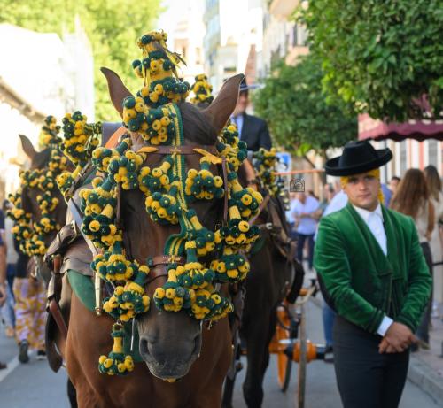 2022-09-04@111950000ENGANCHES-RONDA-VIRGEN-DE-LA-PAZ-