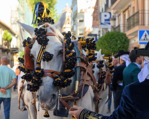 2022-09-04@112102000ENGANCHES-RONDA-VIRGEN-DE-LA-PAZ-