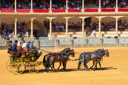 2022-09-04@115309000ENGANCHES-RONDA-PLAZA-DE-TOROS-