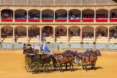 2022-09-04@115330000ENGANCHES-RONDA-PLAZA-DE-TOROS-