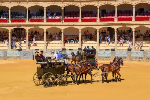 2022-09-04@115343000ENGANCHES-RONDA-PLAZA-DE-TOROS-