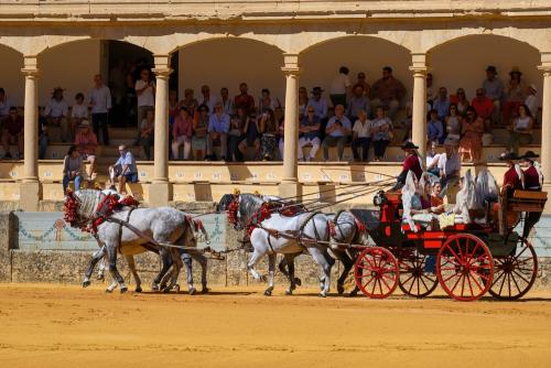 2022-09-04@115531000ENGANCHES-RONDA-PLAZA-DE-TOROS-