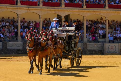 2022-09-04@115956000ENGANCHES-RONDA-PLAZA-DE-TOROS-