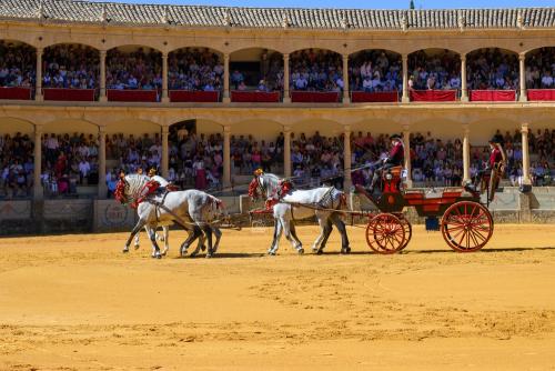 2022-09-04@120008000ENGANCHES-RONDA-PLAZA-DE-TOROS-