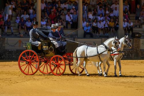 2022-09-04@120156000ENGANCHES-RONDA-PLAZA-DE-TOROS-