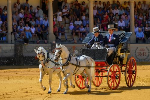 2022-09-04@120227000ENGANCHES-RONDA-PLAZA-DE-TOROS-