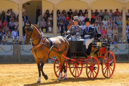 2022-09-04@120940000ENGANCHES-RONDA-PLAZA-DE-TOROS-