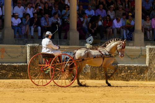 2022-09-04@121213000ENGANCHES-RONDA-PLAZA-DE-TOROS-
