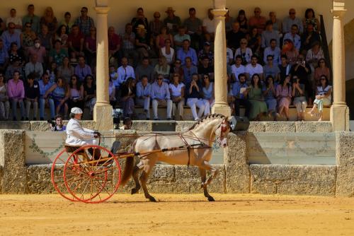 2022-09-04@121215000ENGANCHES-RONDA-PLAZA-DE-TOROS-