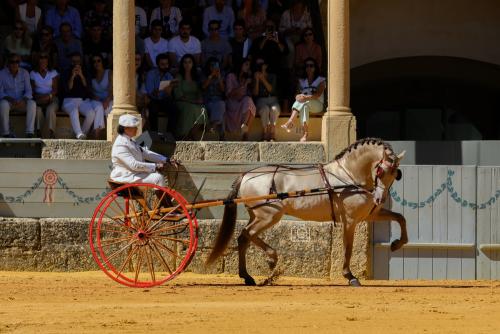 2022-09-04@121216000ENGANCHES-RONDA-PLAZA-DE-TOROS-