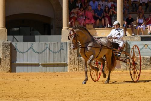2022-09-04@121223000ENGANCHES-RONDA-PLAZA-DE-TOROS-