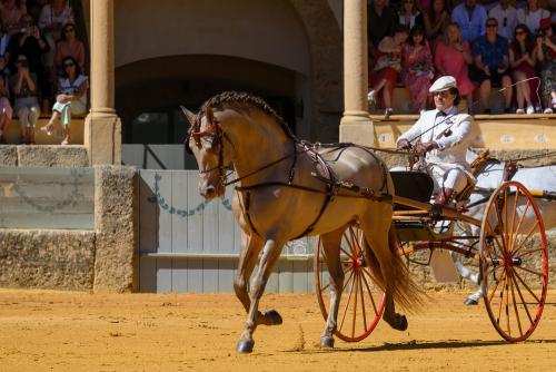 2022-09-04@121224000ENGANCHES-RONDA-PLAZA-DE-TOROS-