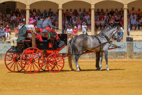2022-09-04@121921000ENGANCHES-RONDA-PLAZA-DE-TOROS-