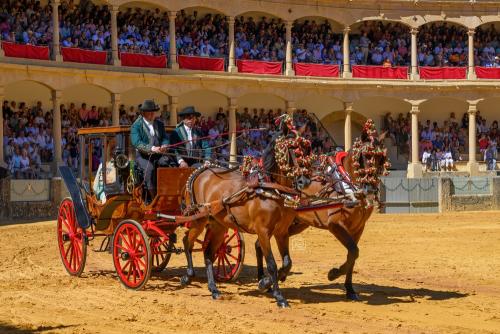 2022-09-04@121929000ENGANCHES-RONDA-PLAZA-DE-TOROS-