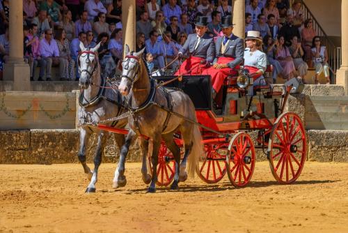 2022-09-04@121950000ENGANCHES-RONDA-PLAZA-DE-TOROS-