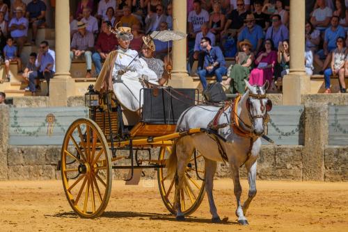 2022-09-04@121959000ENGANCHES-RONDA-PLAZA-DE-TOROS-