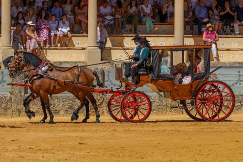 2022-09-04@122004000ENGANCHES-RONDA-PLAZA-DE-TOROS-