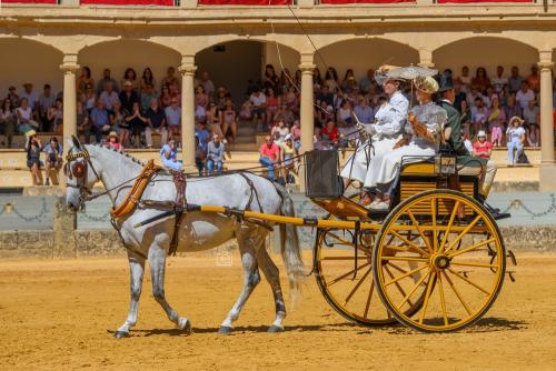2022-09-04@122037000ENGANCHES-RONDA-PLAZA-DE-TOROS-