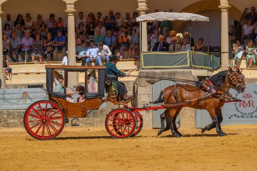 2022-09-04@122050000ENGANCHES-RONDA-PLAZA-DE-TOROS-