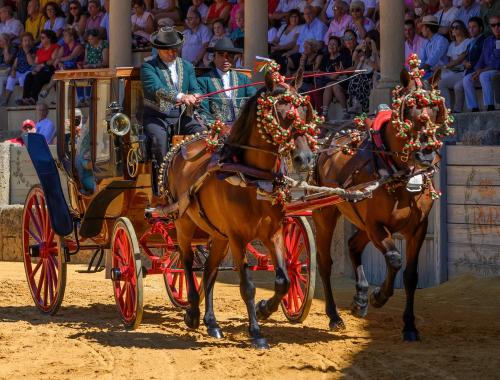 2022-09-04@122104000ENGANCHES-RONDA-PLAZA-DE-TOROS-