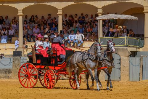2022-09-04@122255000ENGANCHES-RONDA-PLAZA-DE-TOROS-