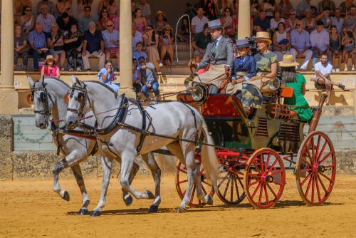 2022-09-04@122258000ENGANCHES-RONDA-PLAZA-DE-TOROS-