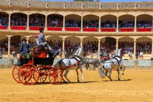 2022-09-04@122741000ENGANCHES-RONDA-PLAZA-DE-TOROS-