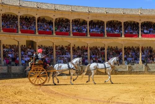 2022-09-04@122753000ENGANCHES-RONDA-PLAZA-DE-TOROS-