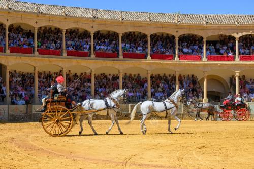 2022-09-04@122754000ENGANCHES-RONDA-PLAZA-DE-TOROS-