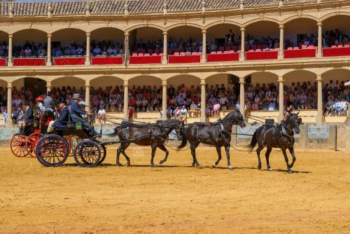 2022-09-04@122941000ENGANCHES-RONDA-PLAZA-DE-TOROS-