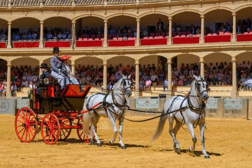 2022-09-04@122957000ENGANCHES-RONDA-PLAZA-DE-TOROS-