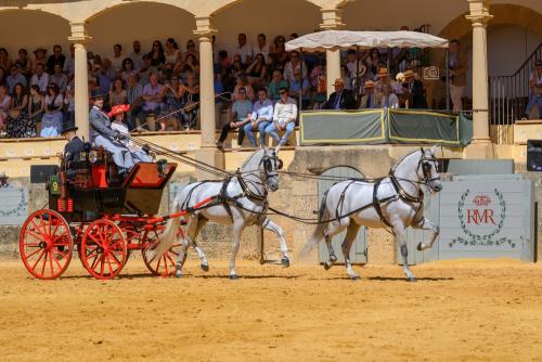 2022-09-04@123036000ENGANCHES-RONDA-PLAZA-DE-TOROS-