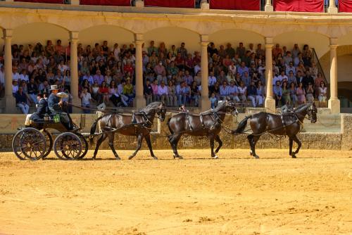 2022-09-04@123152000ENGANCHES-RONDA-PLAZA-DE-TOROS-
