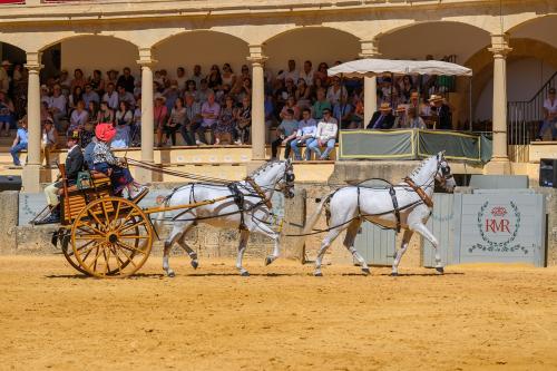 2022-09-04@123158000ENGANCHES-RONDA-PLAZA-DE-TOROS-