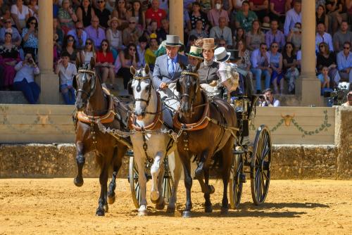 2022-09-04@123712000ENGANCHES-RONDA-PLAZA-DE-TOROS-