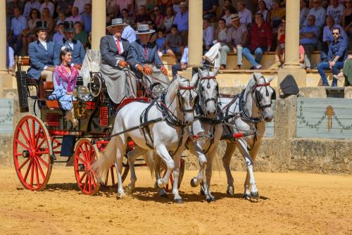 2022-09-04@123743000ENGANCHES-RONDA-PLAZA-DE-TOROS-