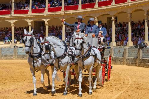2022-09-04@123846000ENGANCHES-RONDA-PLAZA-DE-TOROS-