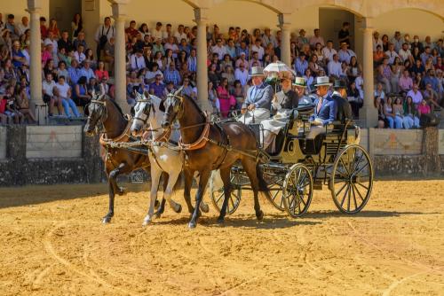 2022-09-04@123919000ENGANCHES-RONDA-PLAZA-DE-TOROS-