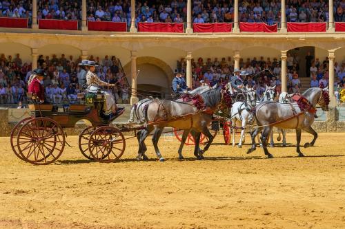 2022-09-04@124519000ENGANCHES-RONDA-PLAZA-DE-TOROS-